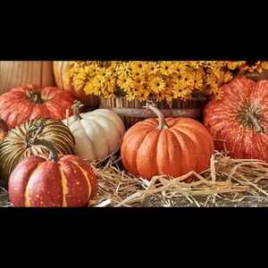 Meet your Posher, Lorena